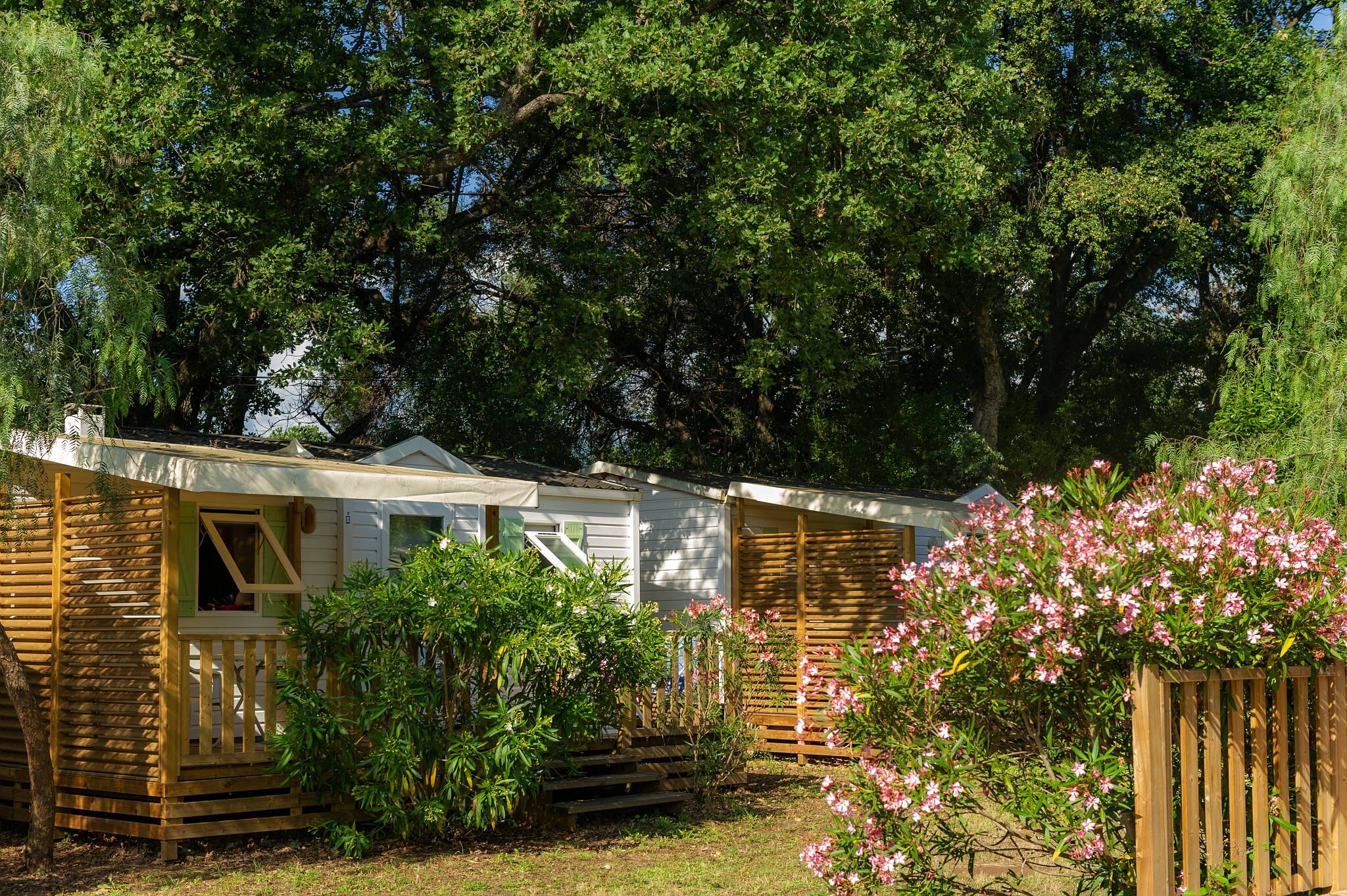 Camping Via Romana *** Corse photo 2 Tohapi